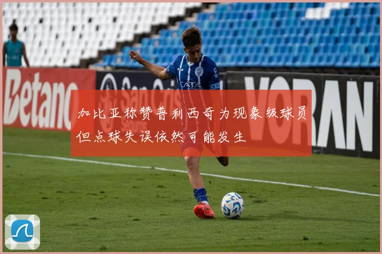 加比亚称赞普利西奇为现象级球员但点球失误依然可能发生