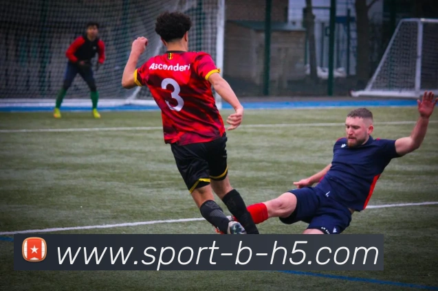 多媒体互动体验