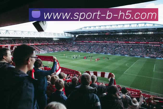 B体育APP 高清赛事图